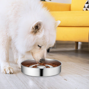 Why Your Pet Deserves a Slow Feeding Bowl