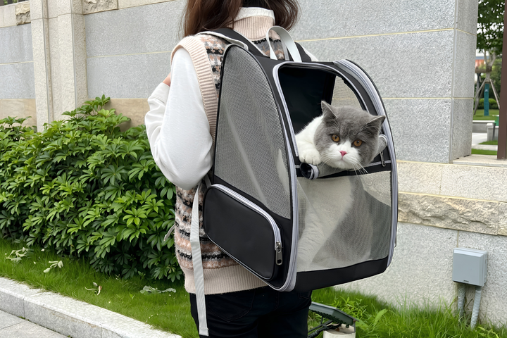 Making Pet Travel Easier With BEST Carriers