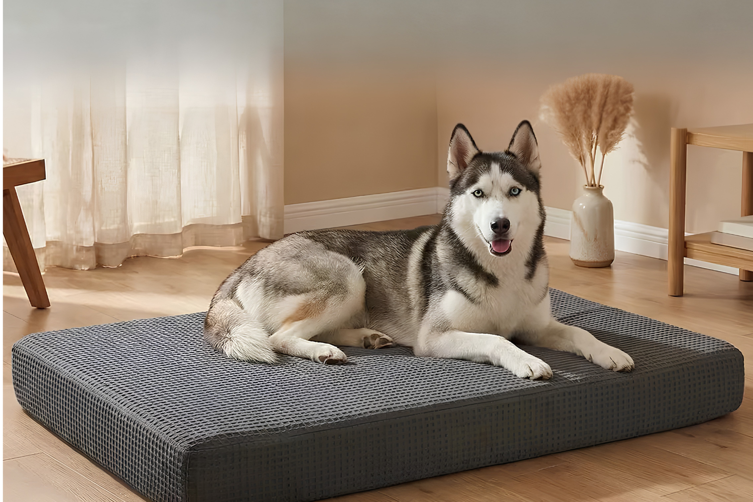 Keeping Your Pet Bed Fresh And Comfortable
