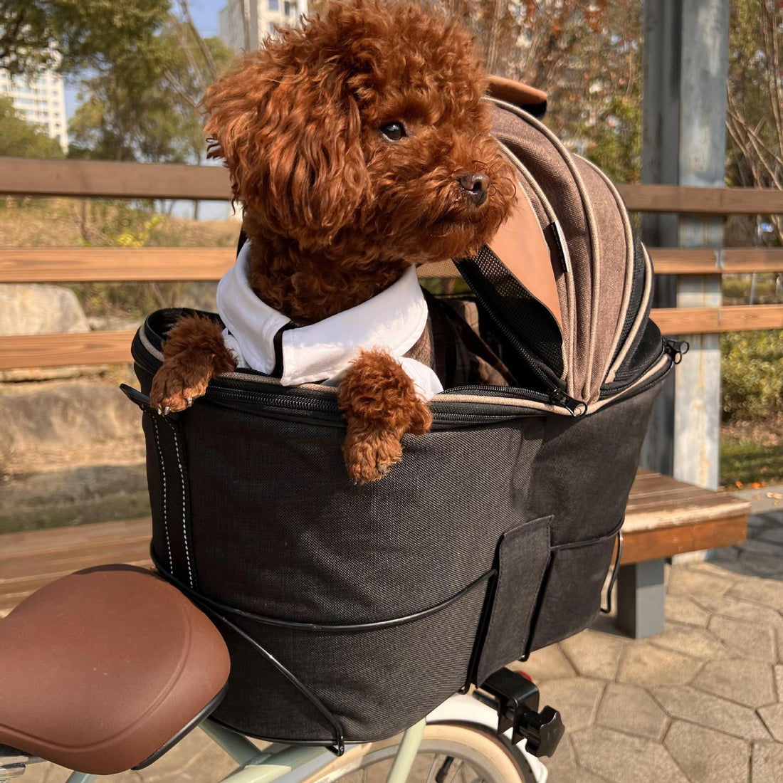 34c80640d1a081b0e68acac9a44cf6f0